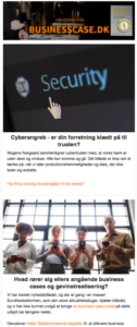 Nyhedsbrev januar 2019